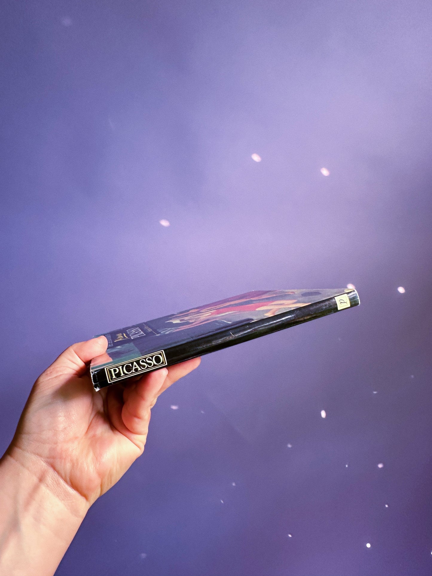 Vintage Life & Works Of Picasso & Van Gogh Square Collectable Hardcover Books