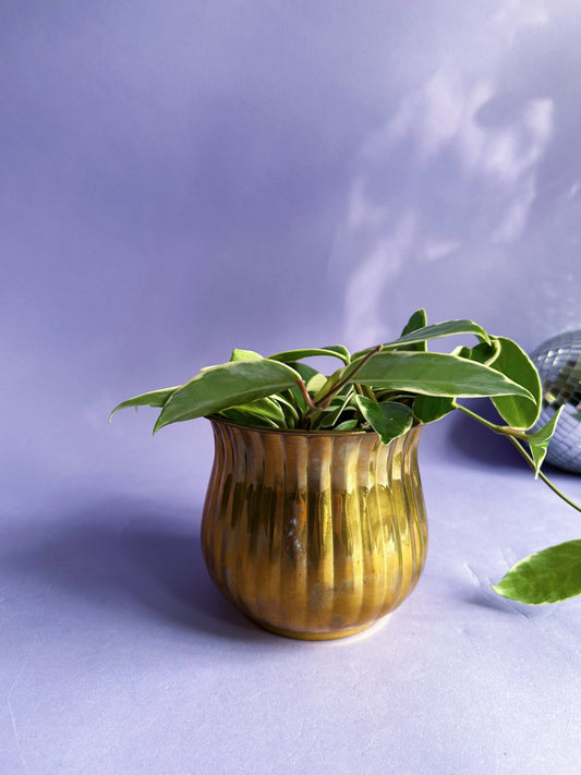 Vintage Brass Plant Cache Pot