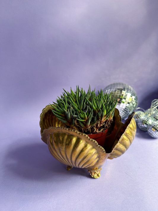 Vtg Hollywood Regency Mid Century Modern Brass Clam Seashell Cache Pot Planter