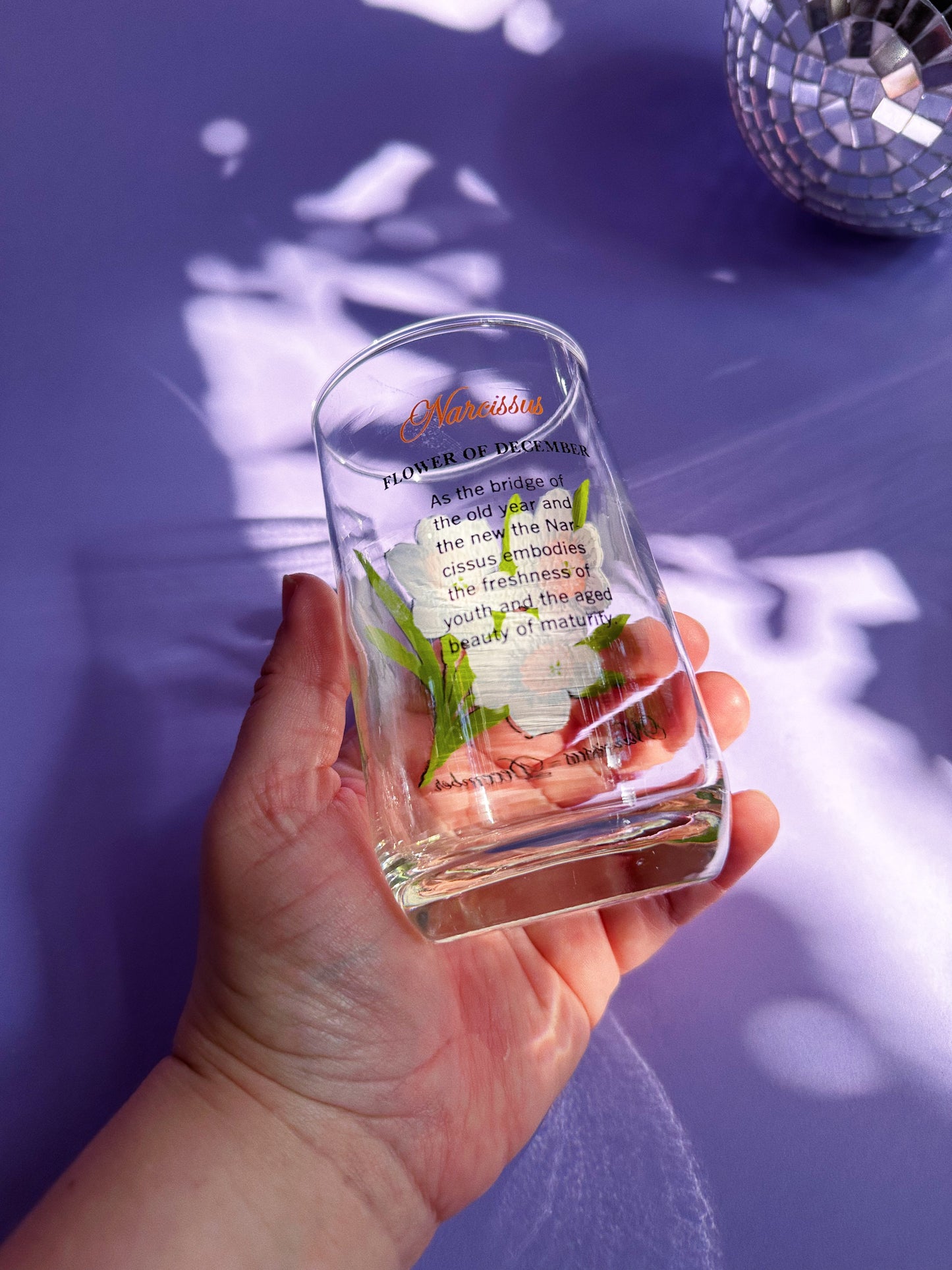 Vintage Floral Brockway Narcissus December Medium Glass Tumblers