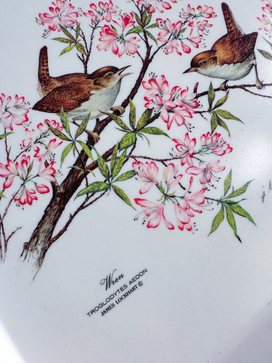 Vintage Wren Bird Melanine Tray / Platter