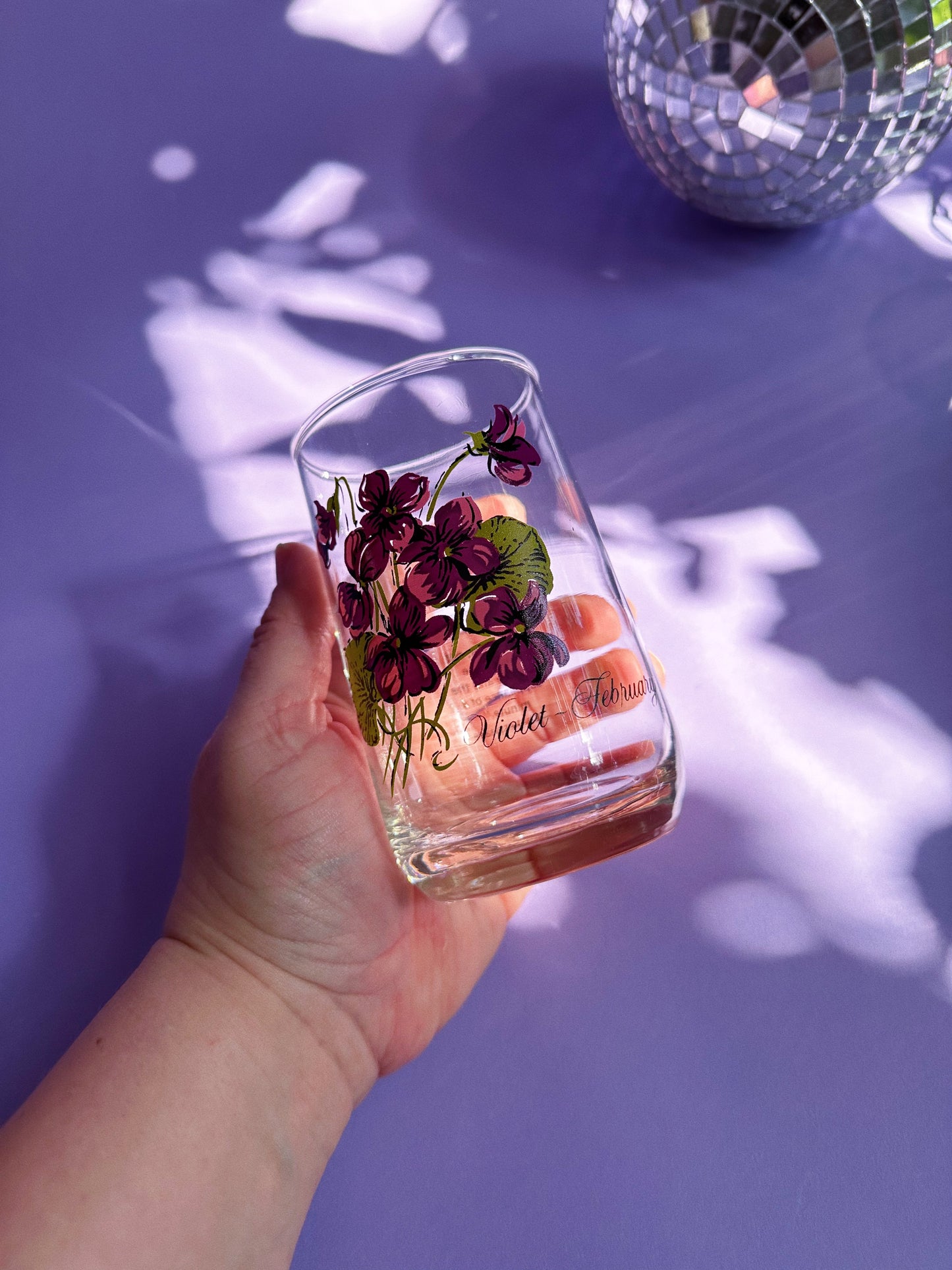 Vintage Floral Brockway Violet February Medium Glass Tumblers