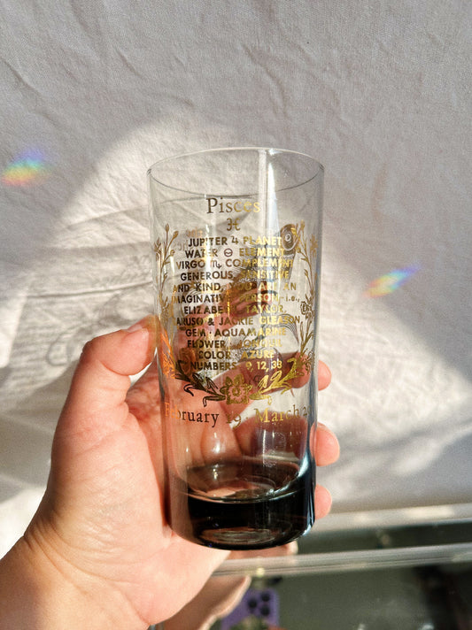 Vintage Horoscope PISCES Mid Century Modern Bar Cocktail Drinking Glass Highball