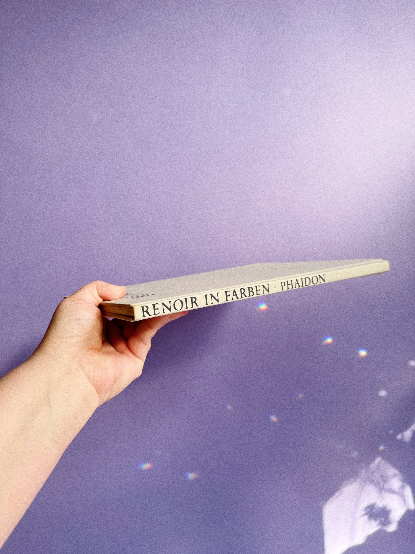 Vintage Renoir Phaidon Coffee Table Book