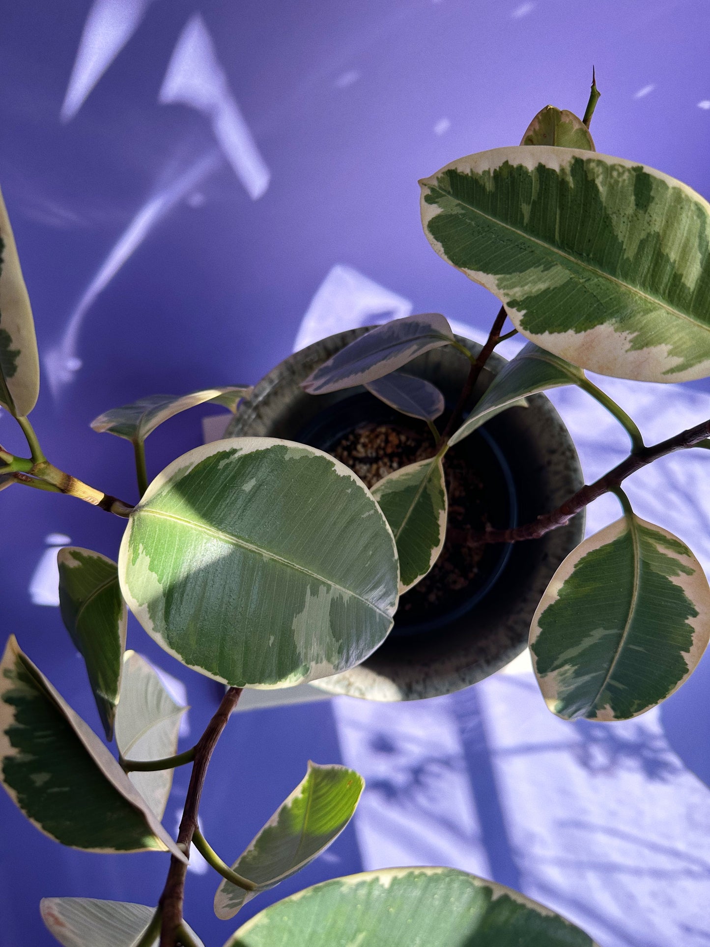 Vintage West Germany Ceramic Planter Pot