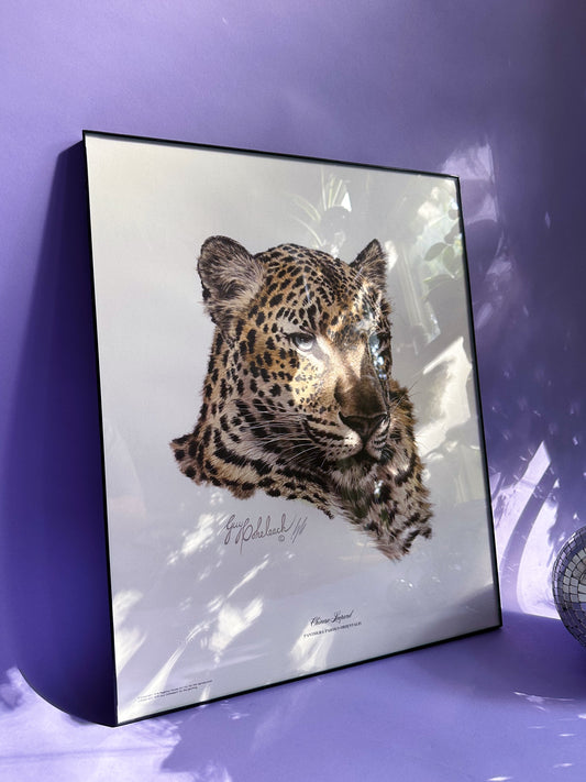 Framed Vintage Chinese Leopard Head Art Guy Coheleach Print Matted Signed