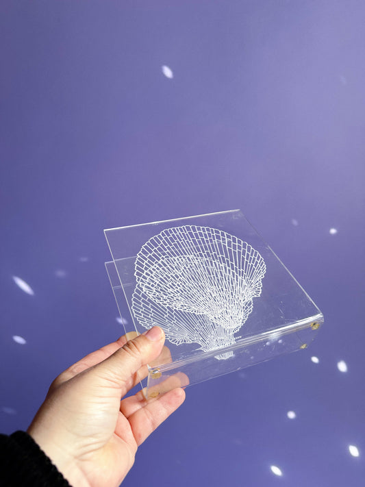 Acrylic Seashell Napkin / Letter Holder