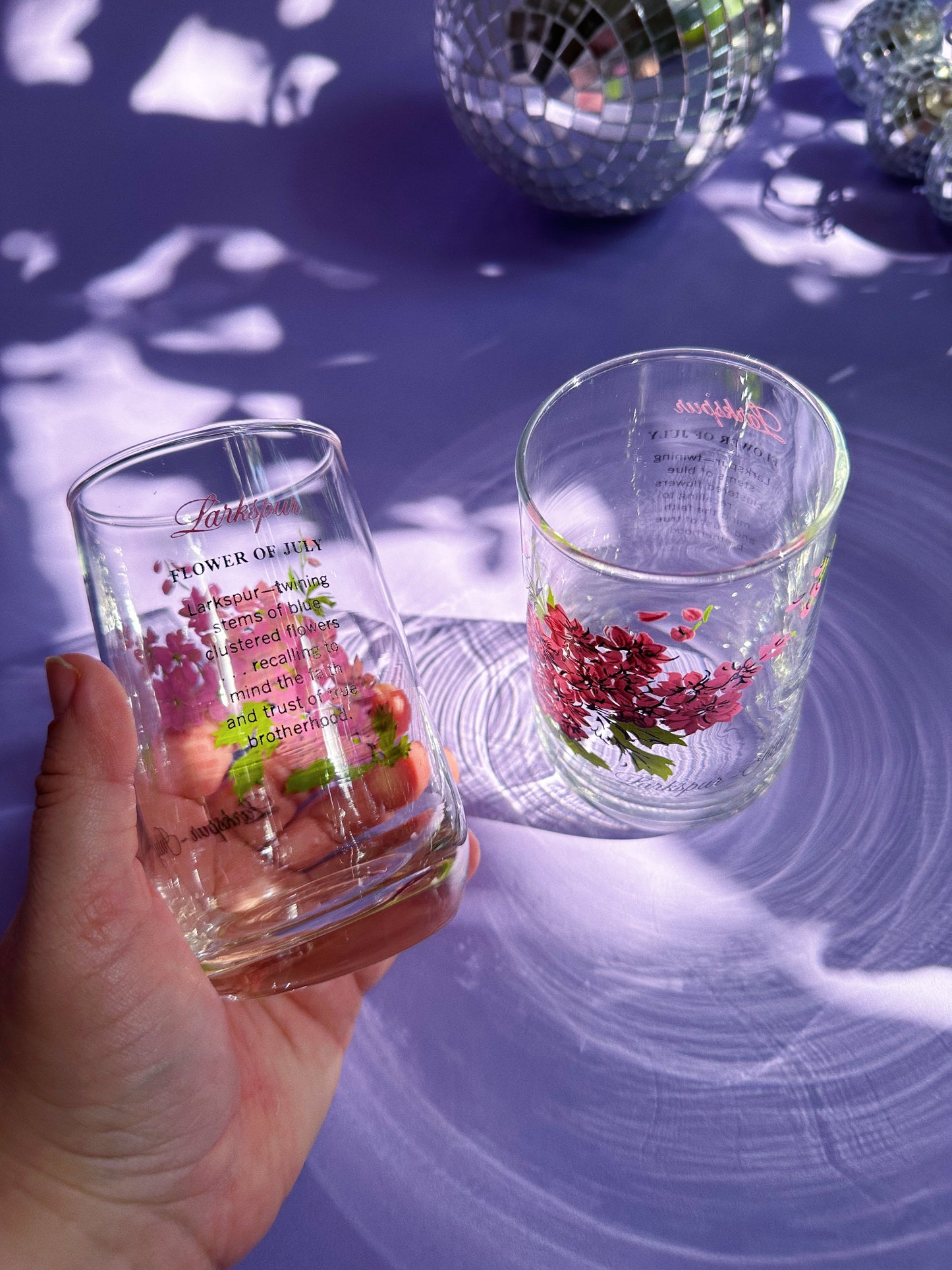 Vintage Floral Brockway Larkspur July Glass Tumblers