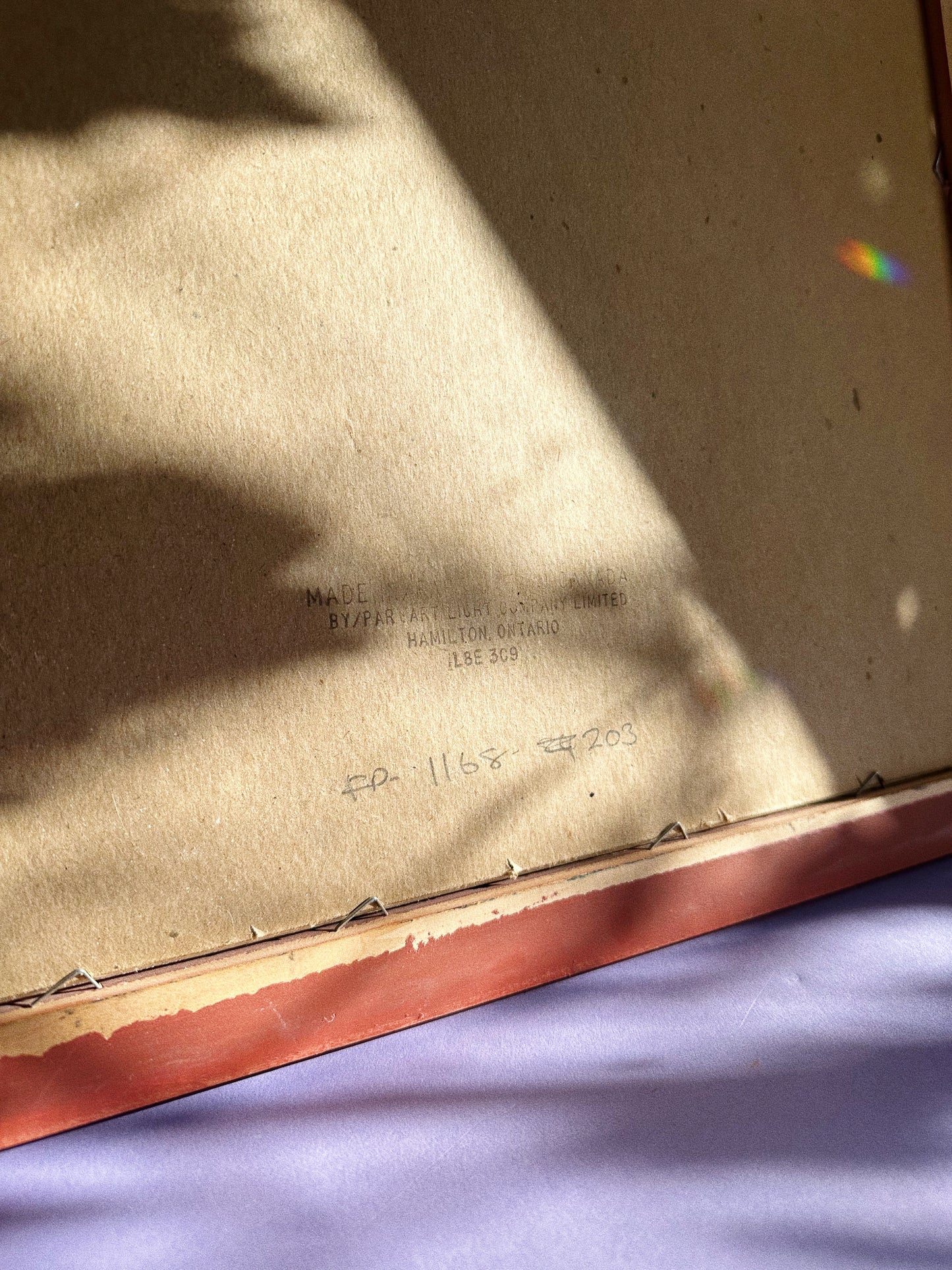 Vintage Post Modern Harry Wysocki Peach Framed Vintage Flower Prints