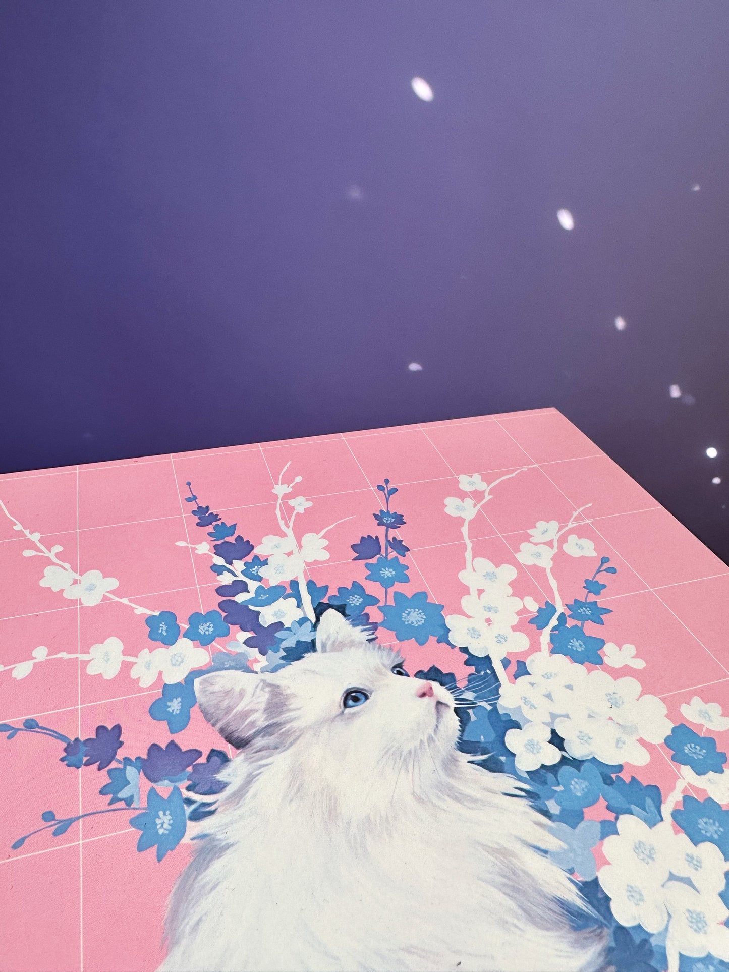 Vintage Pink White Cat Sally Ross Board Prints