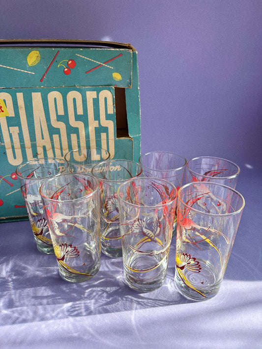 Vintage 1960s Cocktail Glass Set of 8, Red and Yellow Birds In Box Gaytime Glass