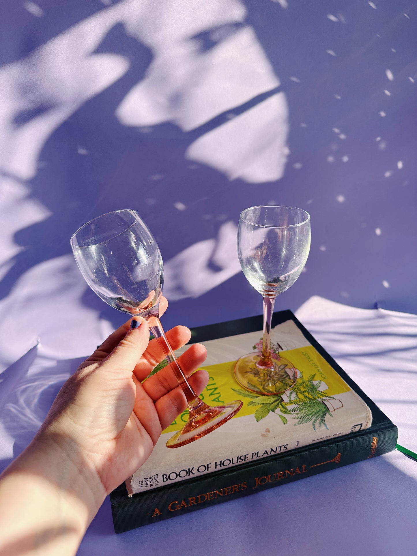 Vintage Pinn Stemmed Wine Glass Pair