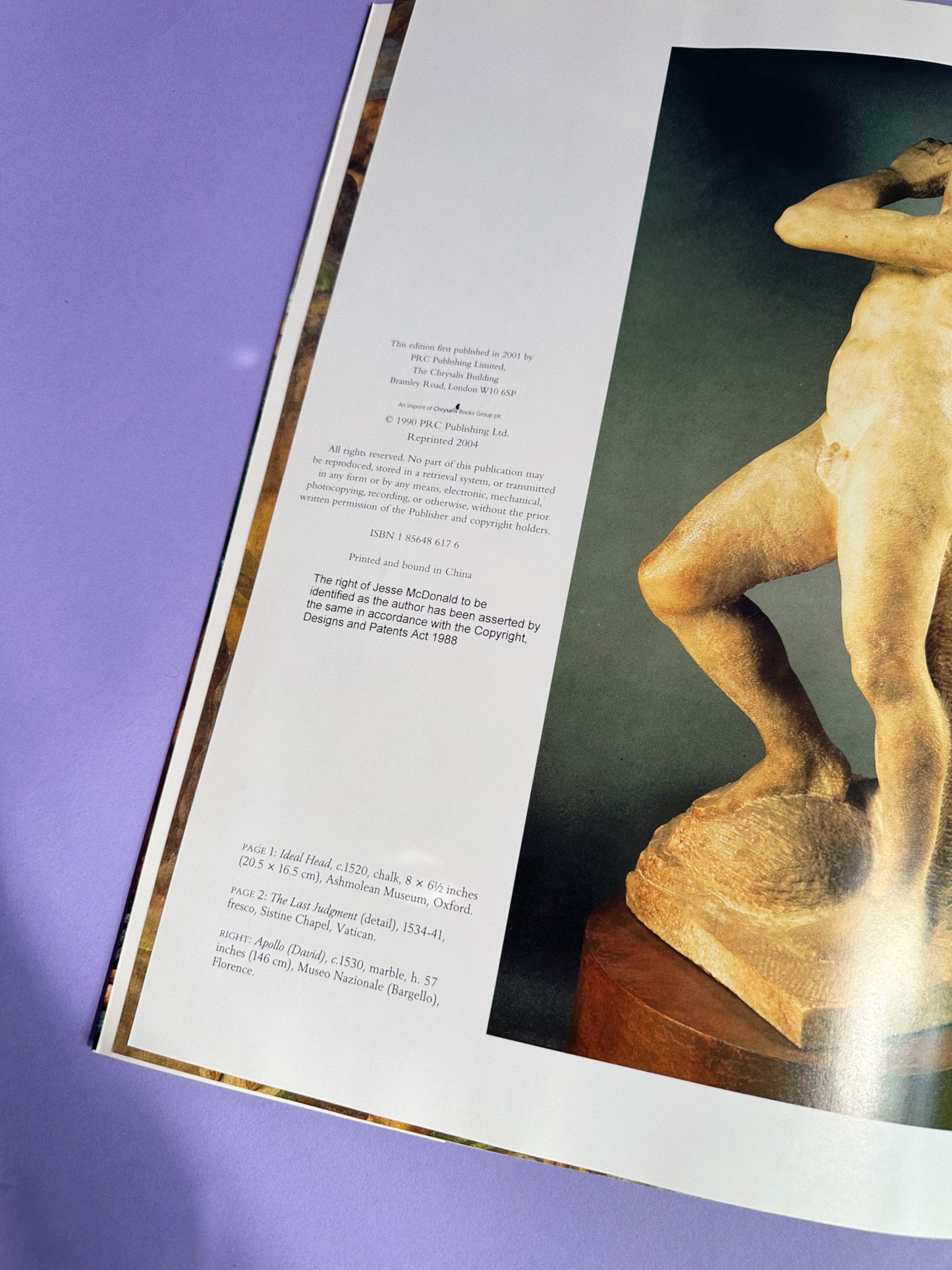 Softcover Michelangelo Art Coffee Table Book by Jesse McDonald