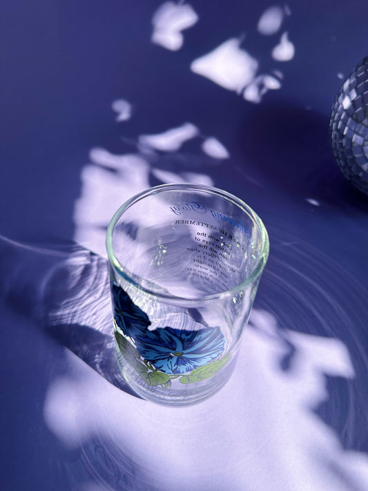 Vintage Floral Brockway Morning Glory September Medium Glass Tumblers