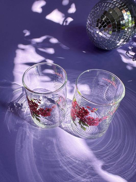 Vintage Floral Brockway Larkspur July Glass Tumblers
