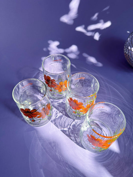 Vintage Floral Brockway Cosmos October Glass Tumblers
