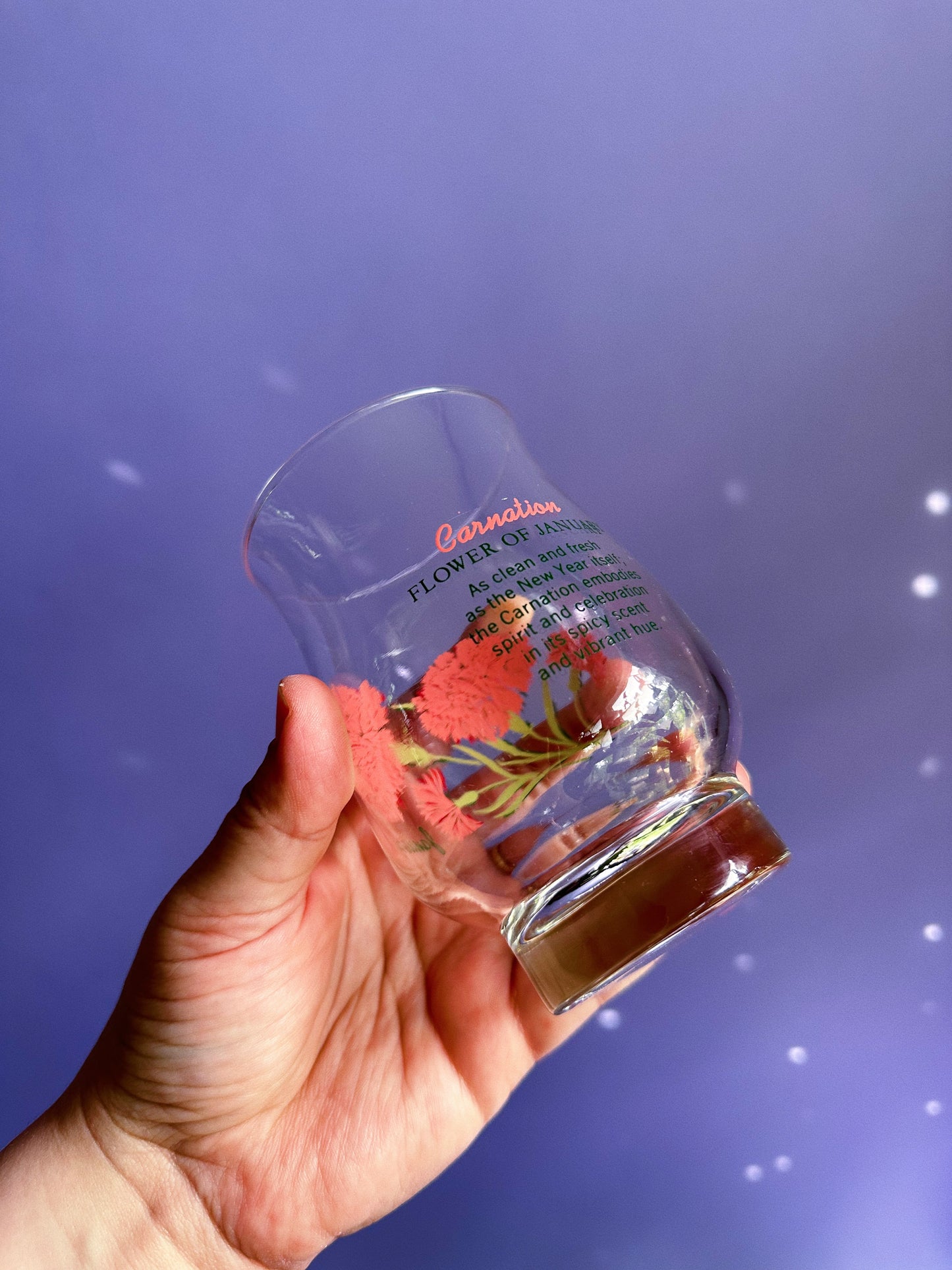 Vintage January Carnation Flower of the Month Glass Tumbler