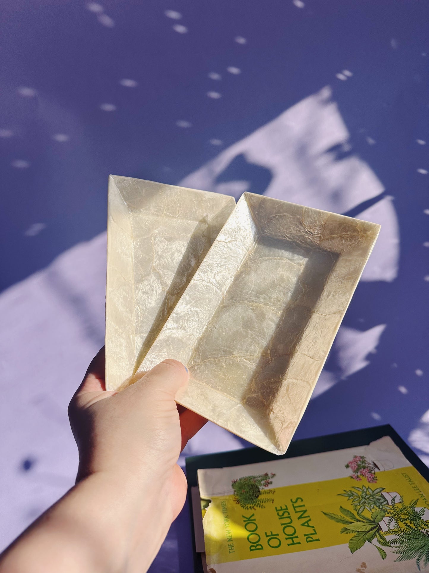 Vintage Pair of Capiz Shell Rectangle Throw Dishes