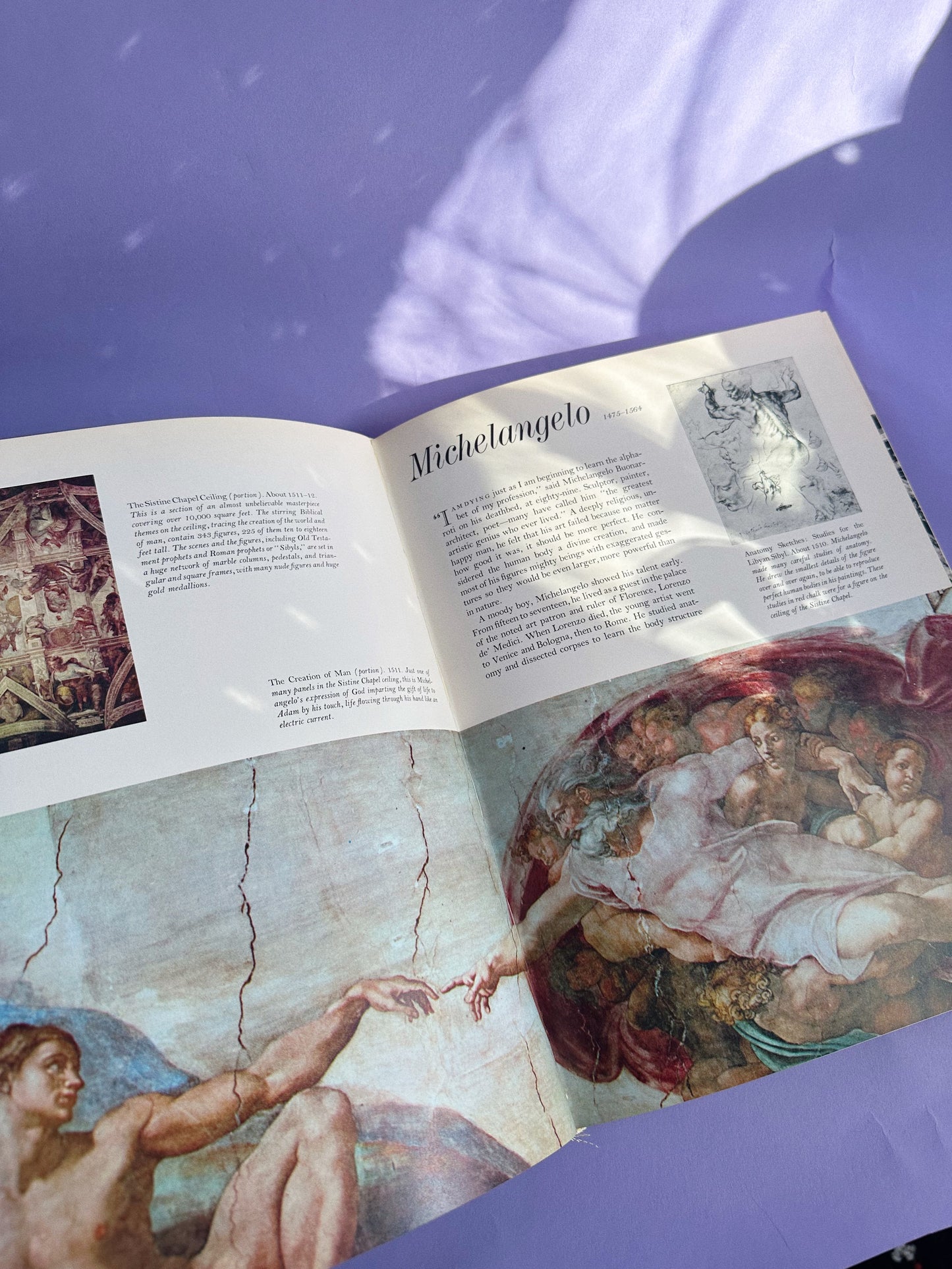 Vintage Introduction to Art Hardcover Coffee Table Book