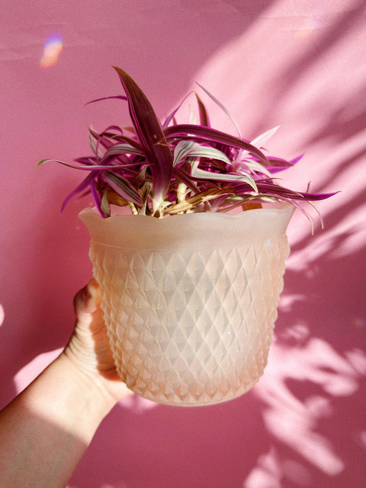 Vintage Heavy Indiana Glass Frosted Pink Diamond Point Planter / Cache Pot