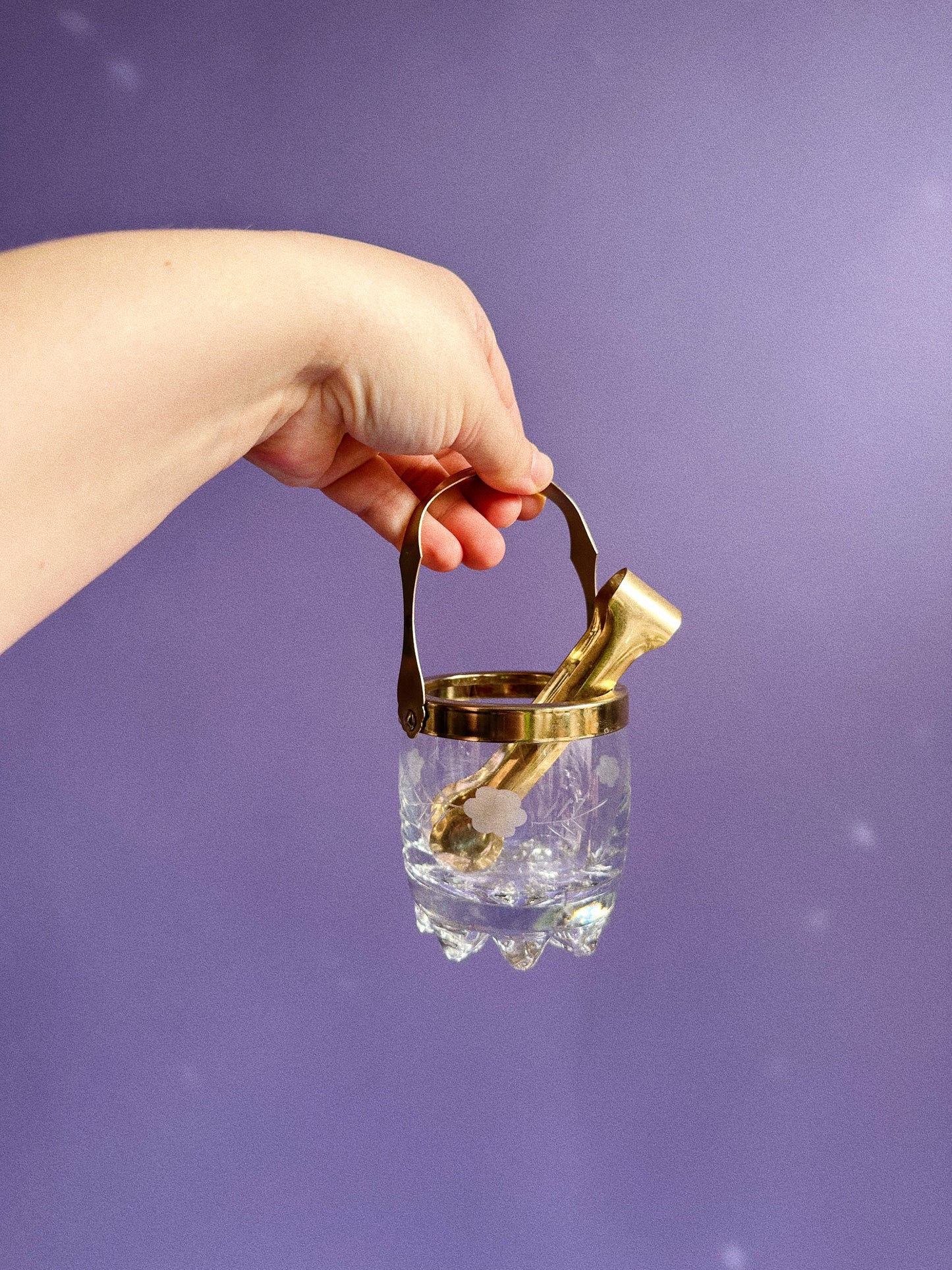 Vintage Etched Personal Sized Crystal Ice Bucket Italy Brass