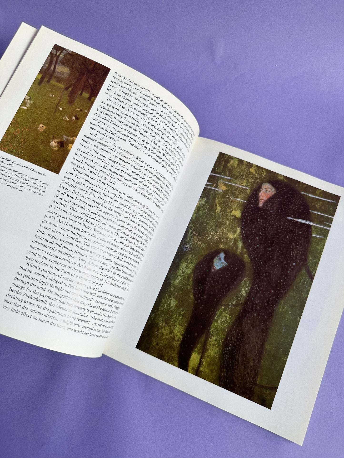 Gustav Klimt Softcover Taschen Coffee Table Book