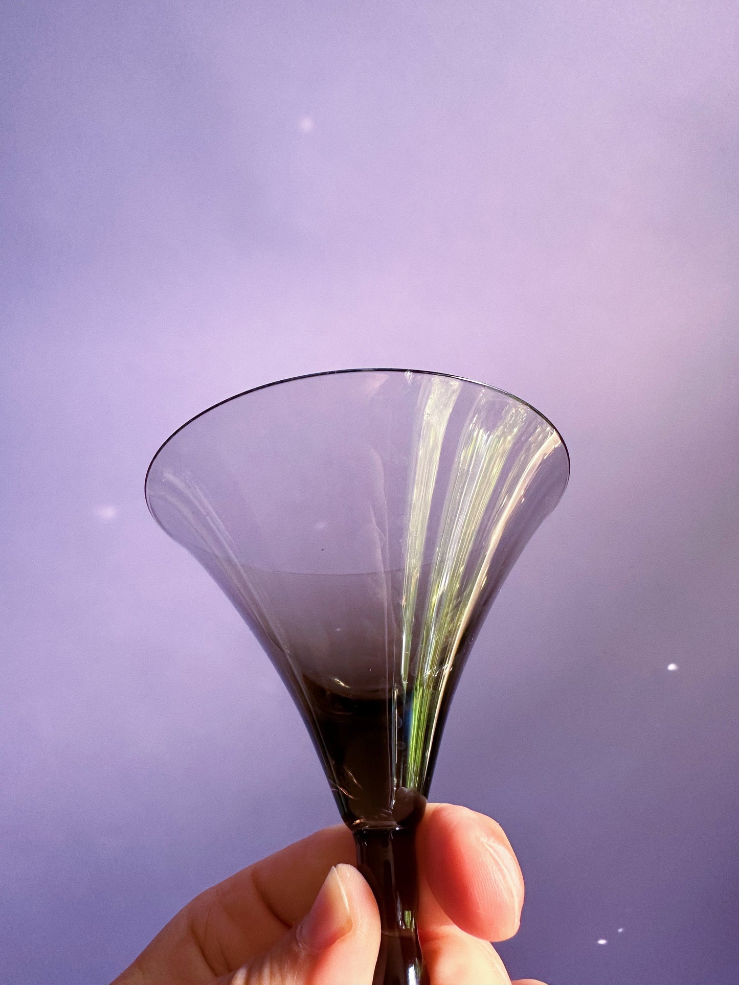 Vintage Smokey Black MCM Cocktail Stemware