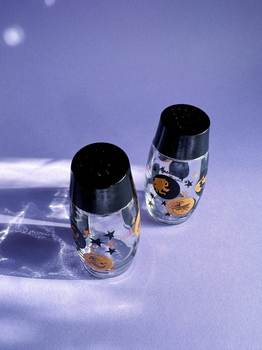 Vintage Van Pac Canada Zodiac Salt and Pepper Shakers