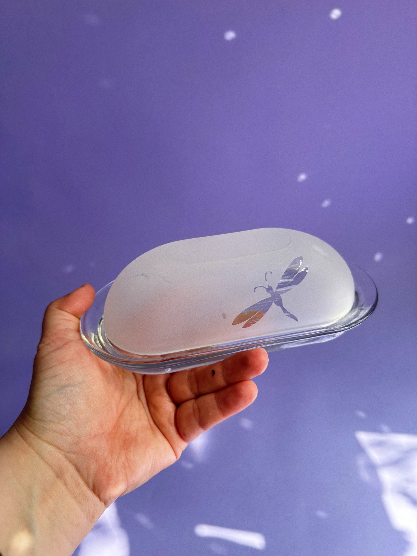 Vintage Frosted Dragonfly Butter Dish