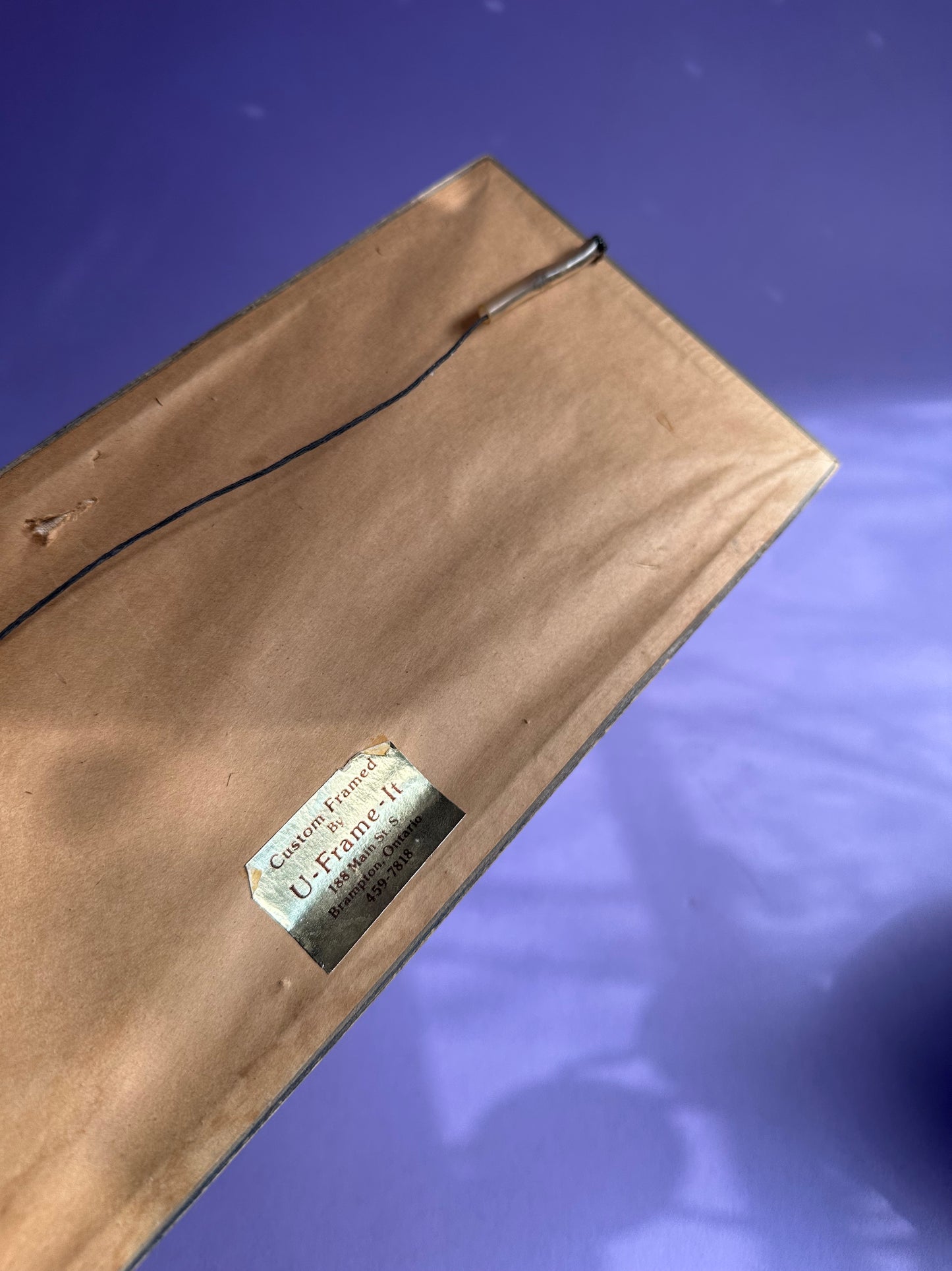 Vintage Penguin Crewel