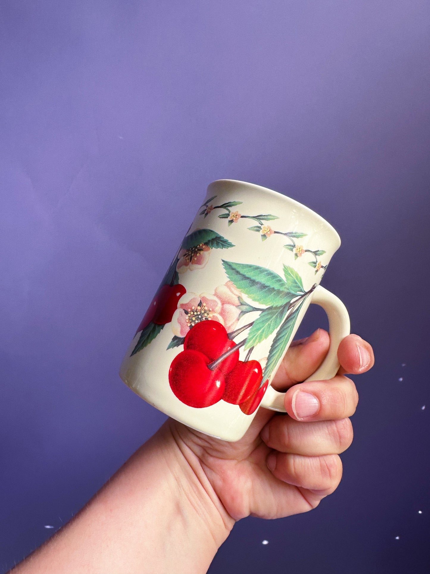 Vintage Otagiri Cherries Ceramic Mug