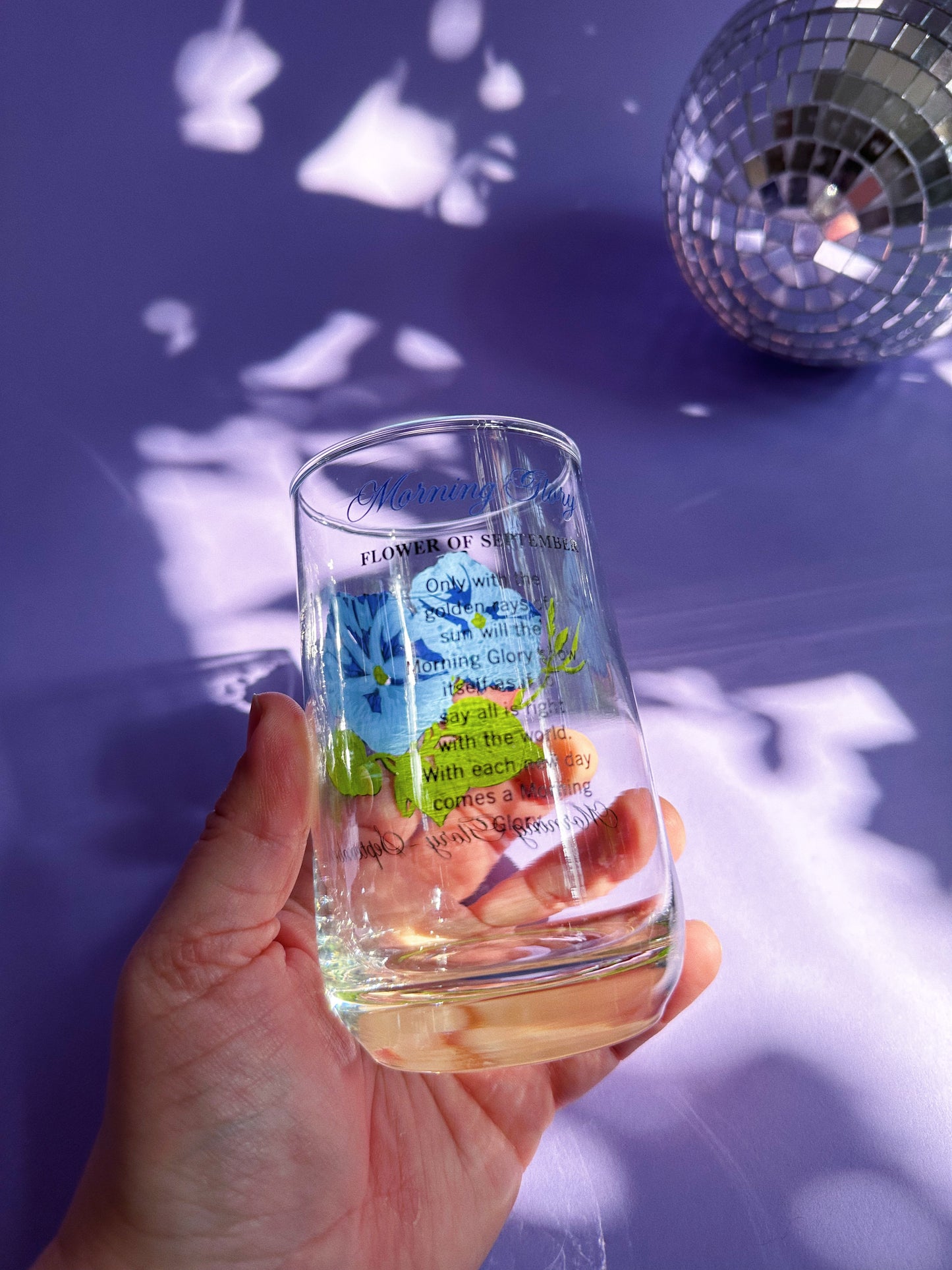 Vintage Floral Brockway Morning Glory September Medium Glass Tumblers