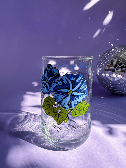 Vintage Floral Brockway Morning Glory September Medium Glass Tumblers