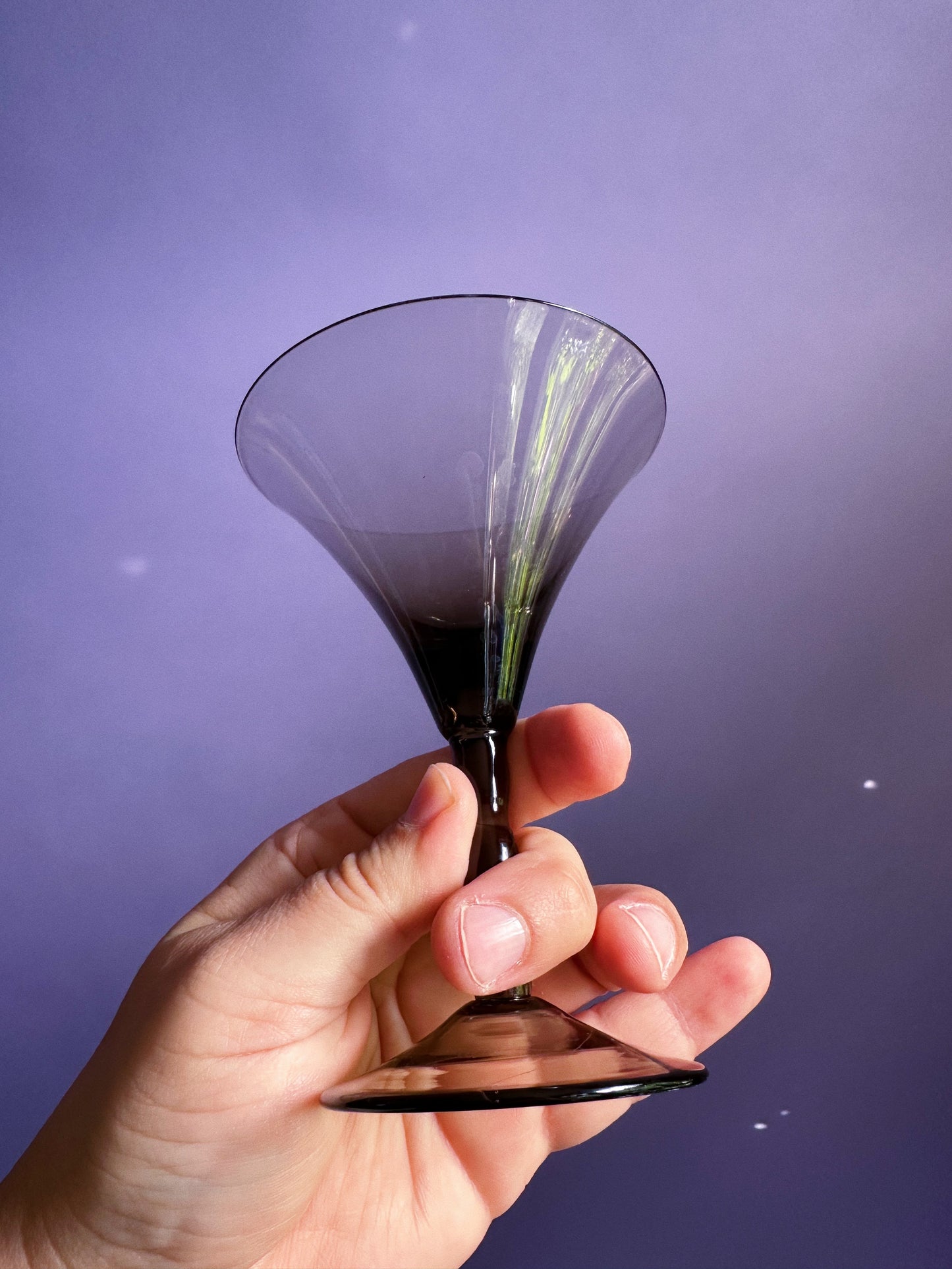 Vintage Smokey Black MCM Cocktail Stemware