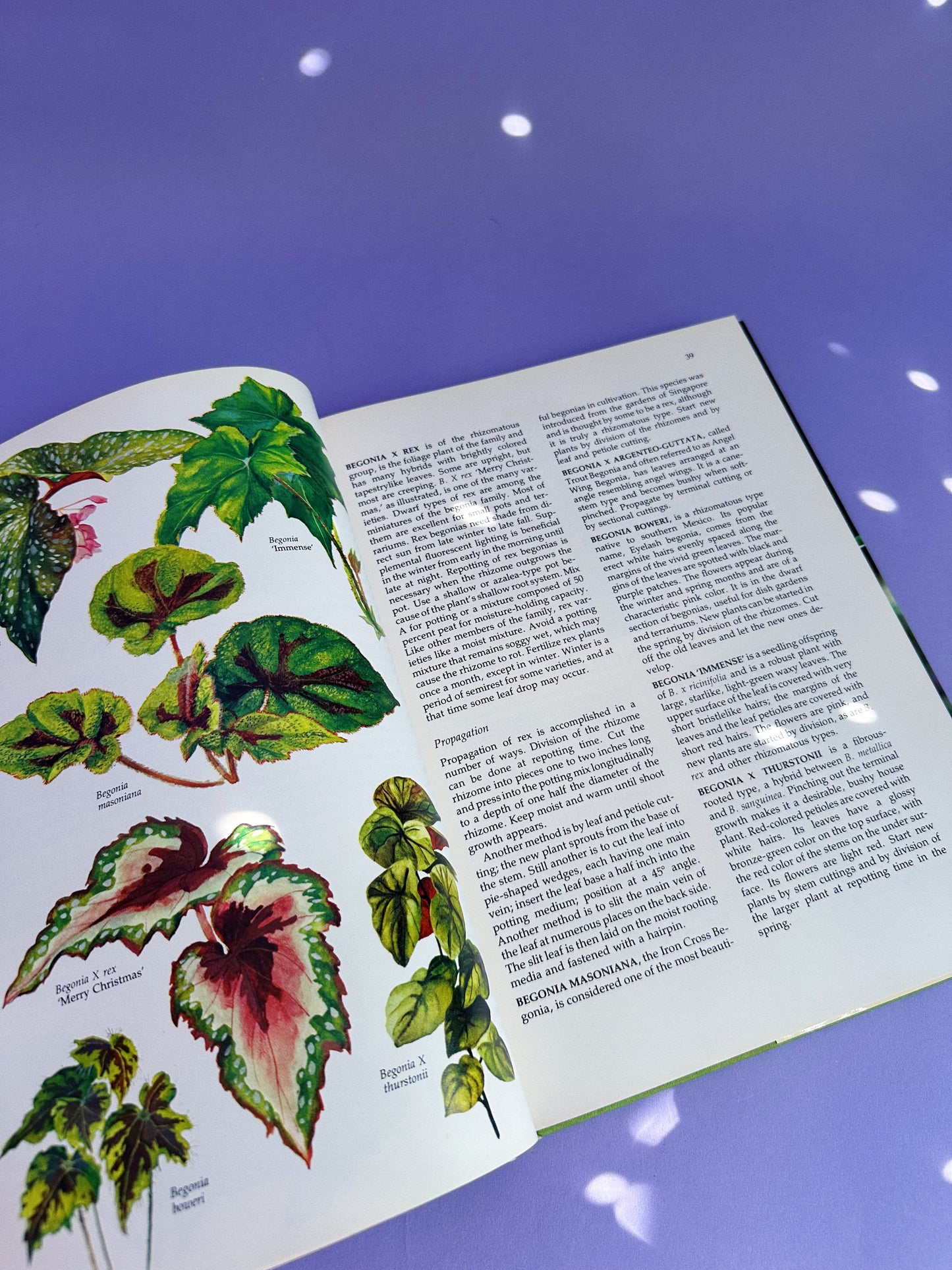 Complete Book of Houseplants Hardcover Coffee Table Book