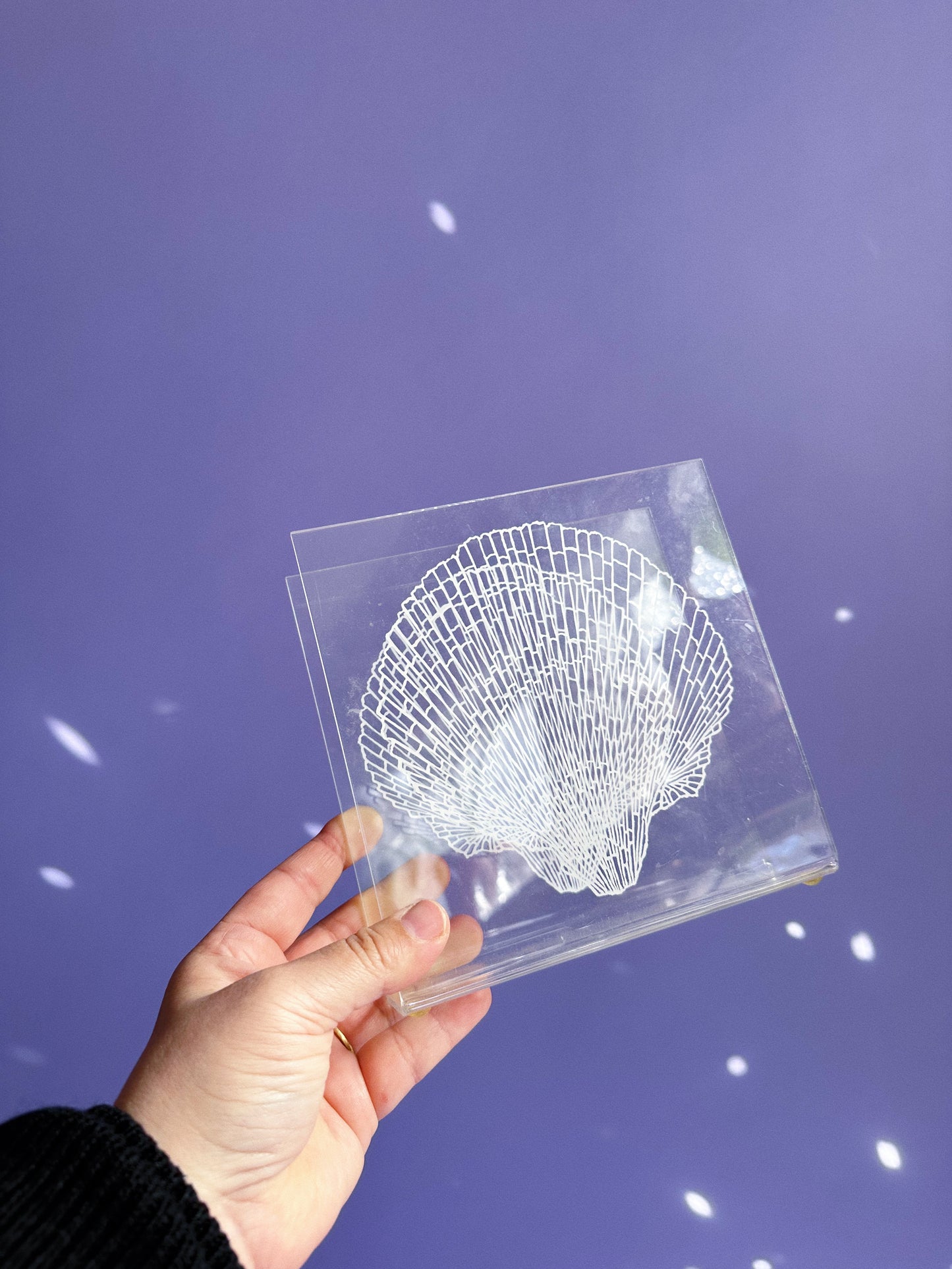 Acrylic Seashell Napkin / Letter Holder