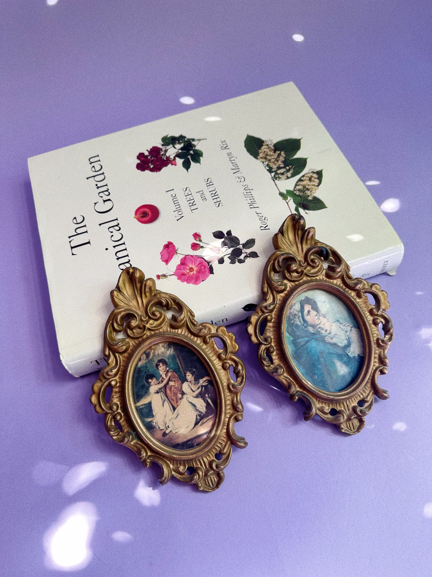 Pair of Baroque Plastic Framed Wall Prints Victorian