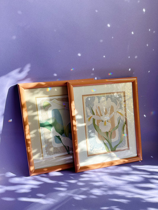 Vintage Post Modern Harry Wysocki Peach Framed Vintage Flower Prints