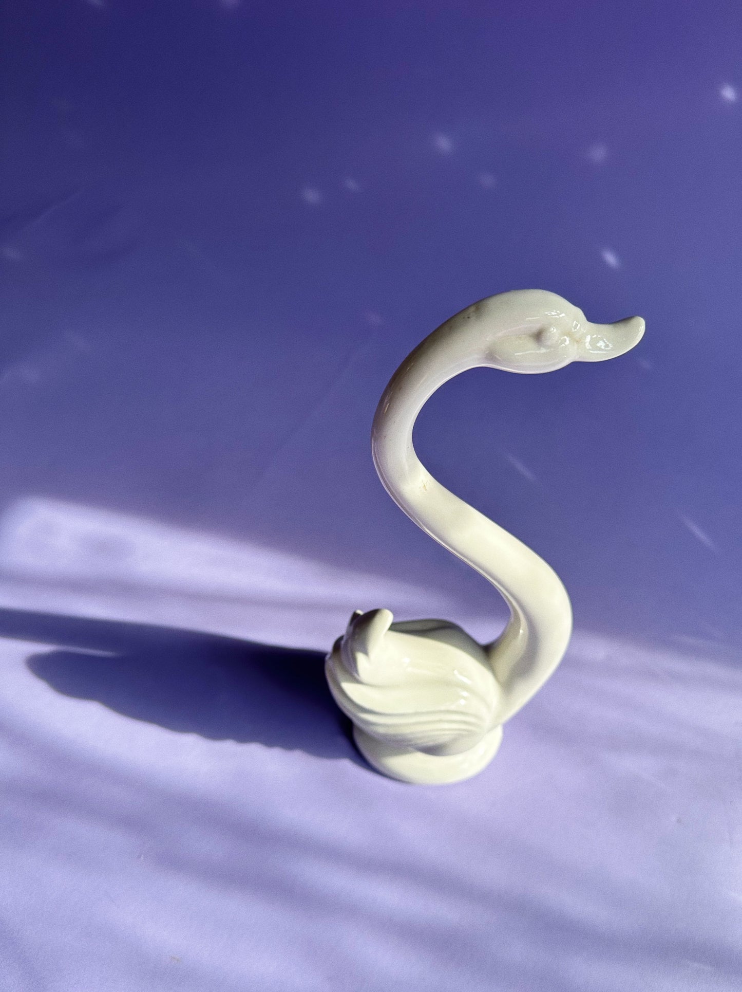 Graceful Vintage Maddox California White Swan