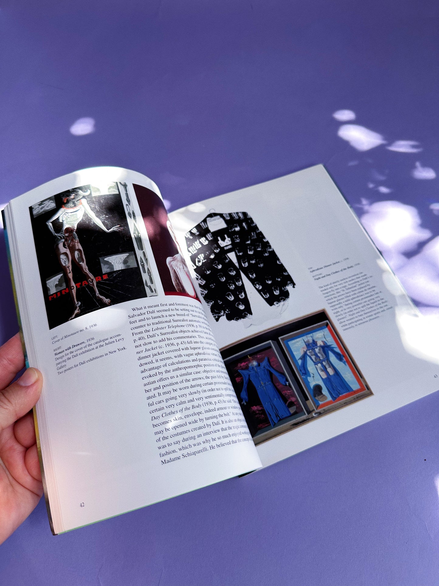 Salvador Dali Taschen Coffee Table Softcover Book