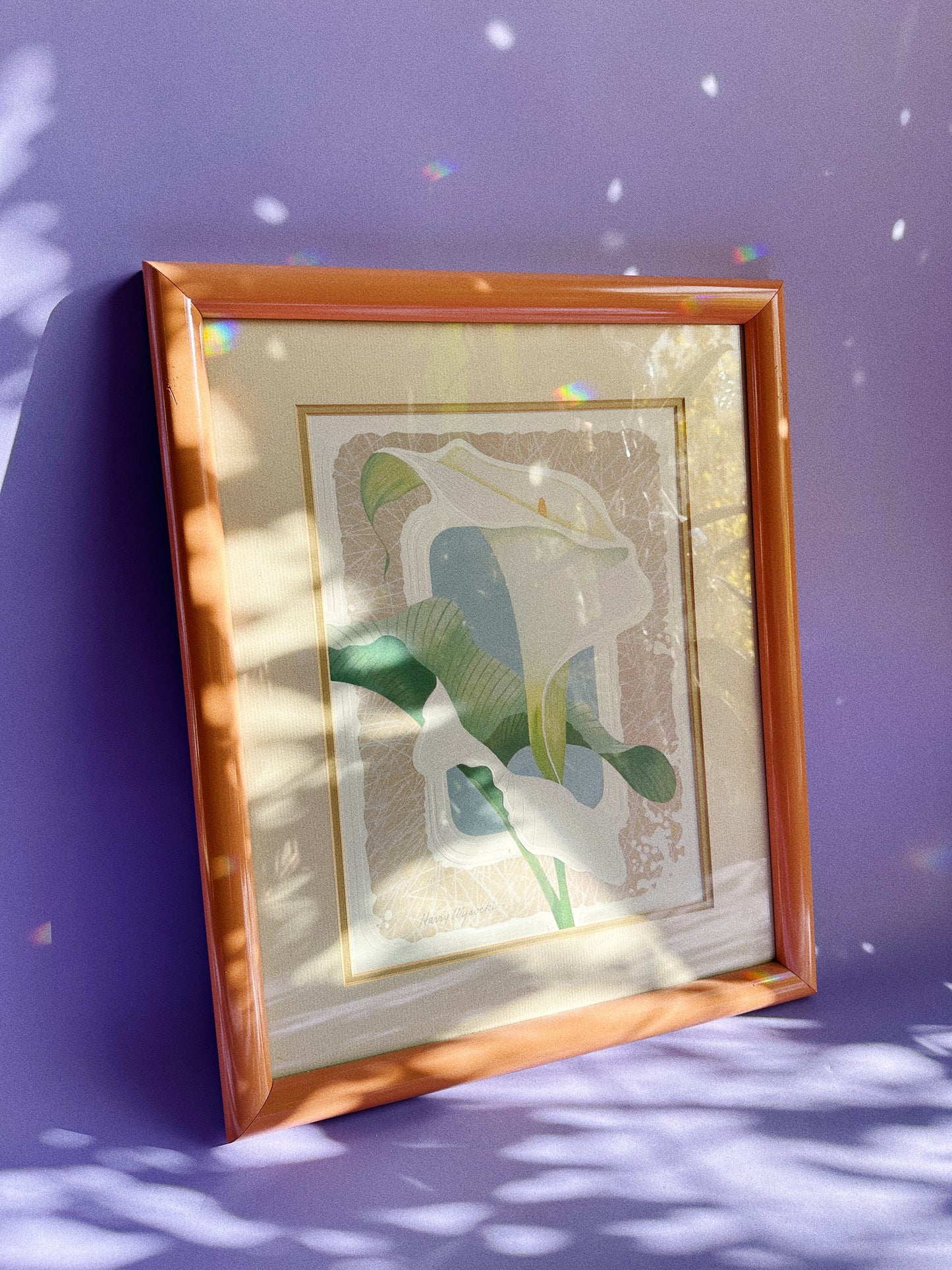 Vintage Post Modern Harry Wysocki Peach Framed Vintage Flower Prints