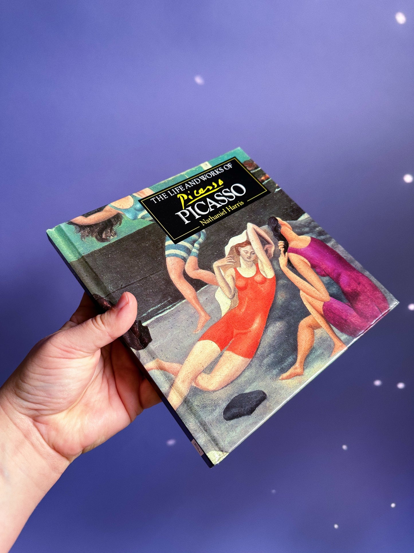 Vintage Life & Works Of Picasso & Van Gogh Square Collectable Hardcover Books