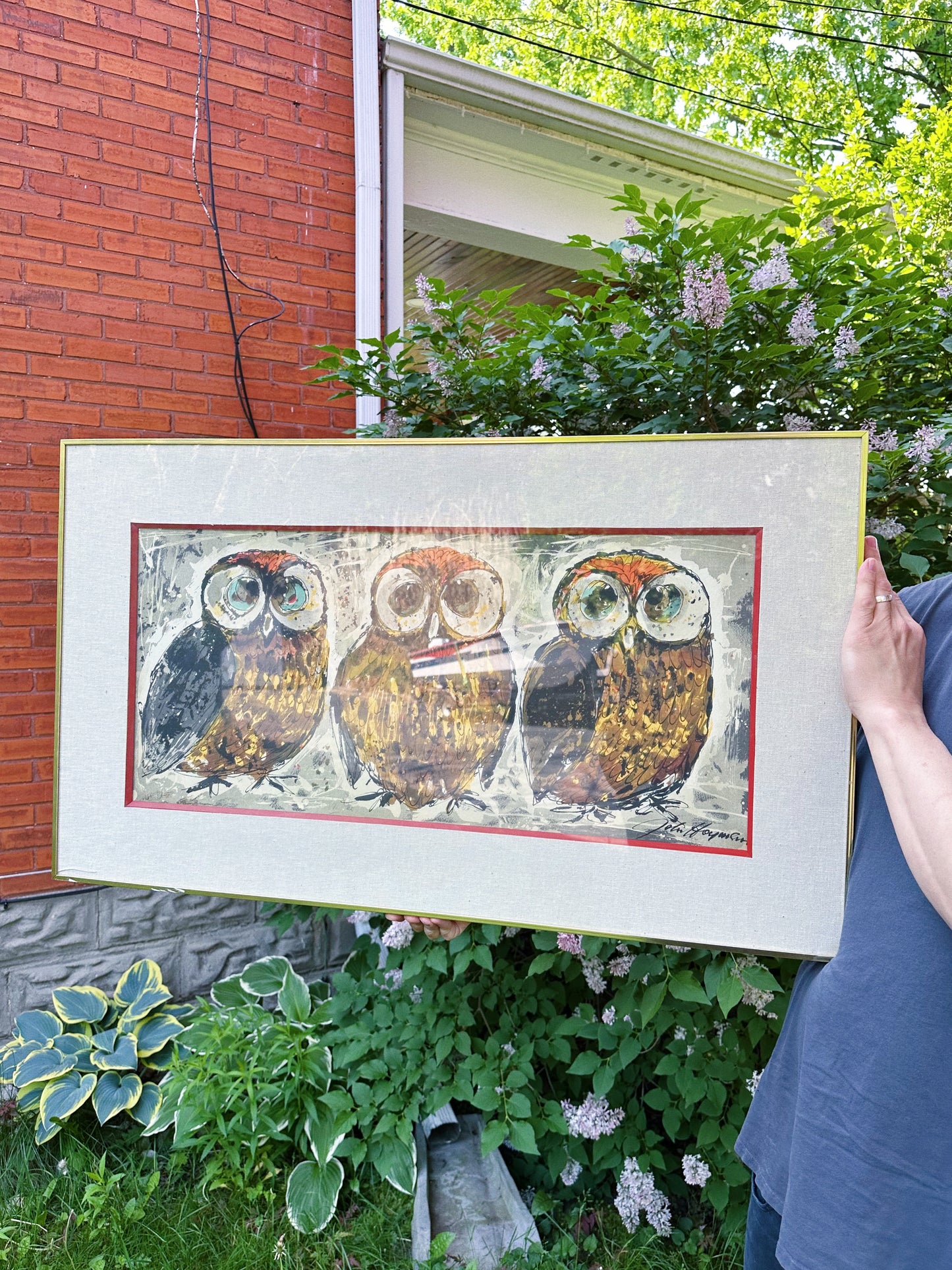 Large MCM 3 Owls Matted & Framed Art by John Hoyman 1960s