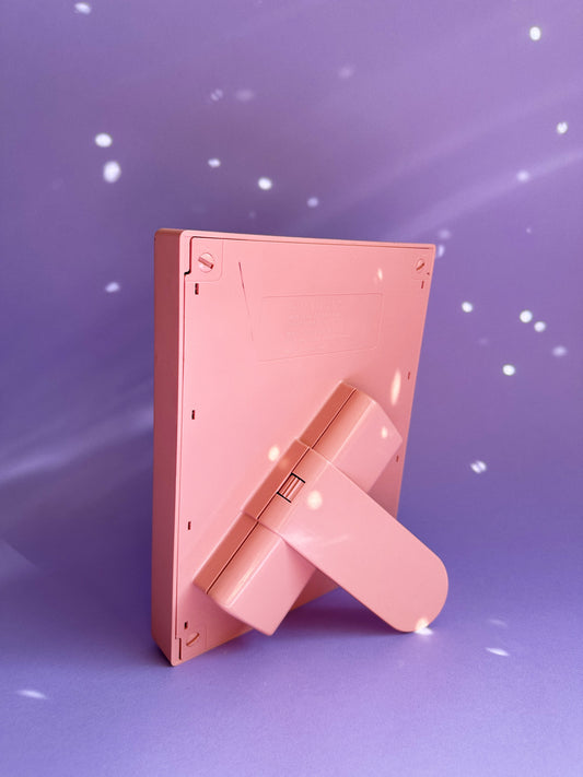 Vintage Post Modern Satin Rose Light Up Framelight