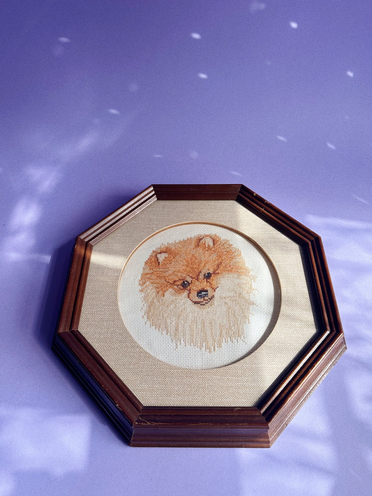 Vintage Framed Dog Cross Stitch