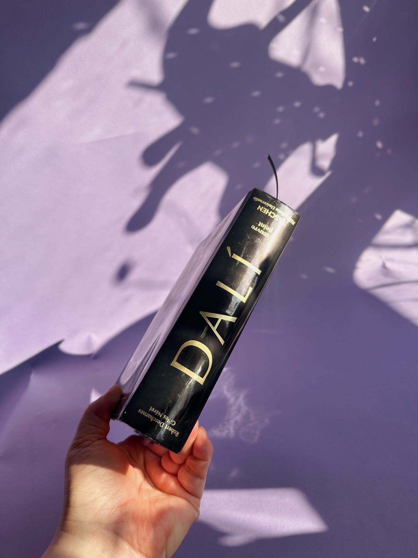 French Salvador Dali Taschen Hardcover Coffee Table Book