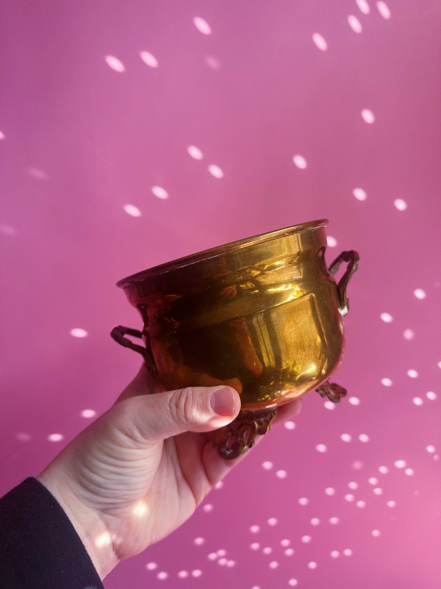Vintage Brass Cache Pot for Indoor Houseplants