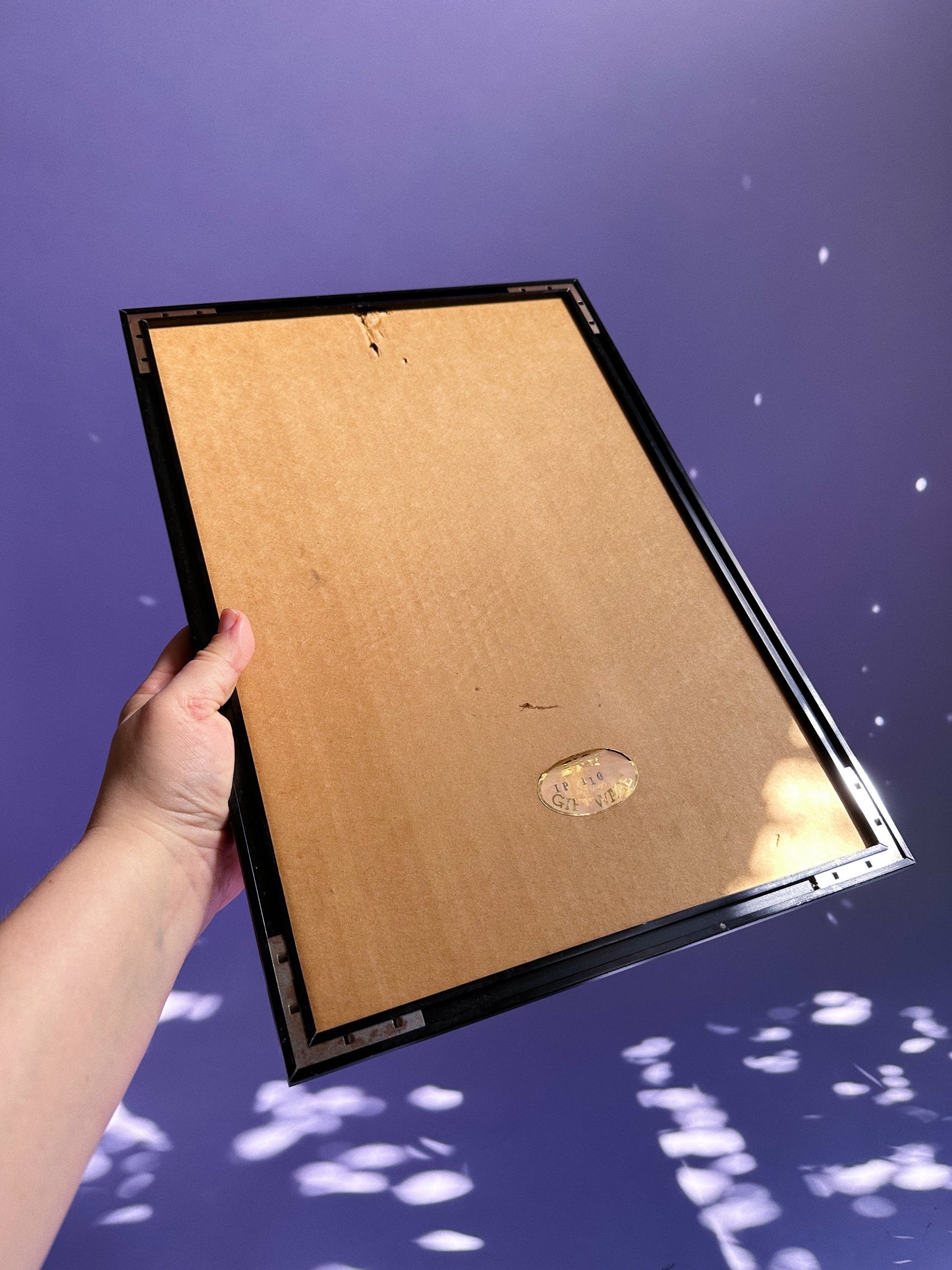 Black Panthers / Major Felten / Art Deco Big Cats Framed Print