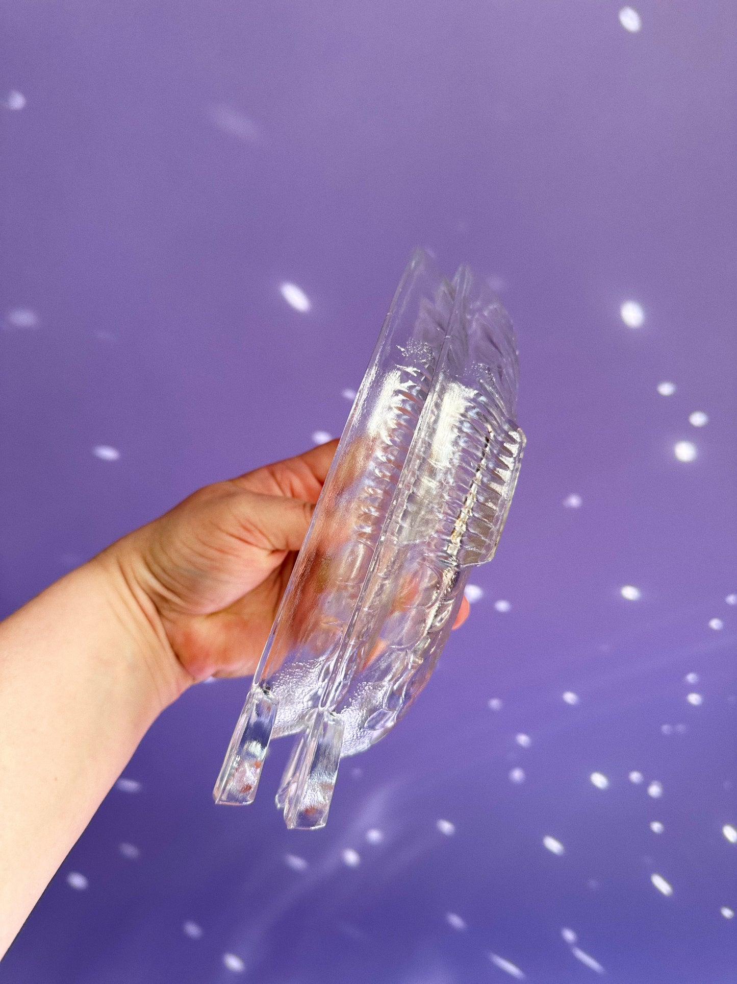 Pair of Heavy Glass Fish Dishes