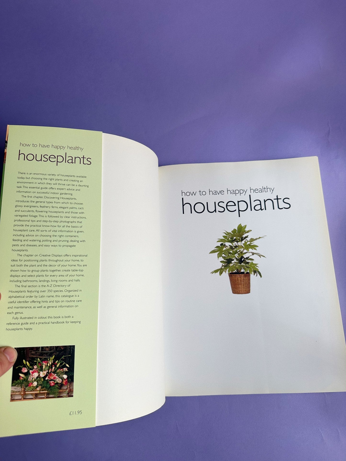 How to Have Happy Healthy Houseplants - Softcover Coffee Table Book
